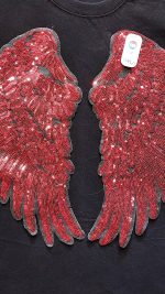 بال فرشته - تصویر 2